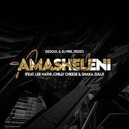 Album cover of Amasheleni