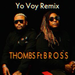 Album cover of Yo Voy (Remix)