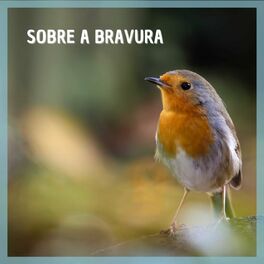 Album cover of Sobre a Bravura