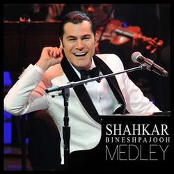 shahkar bineshpajooh bichareh man free mp3