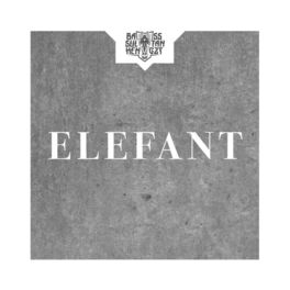 Album cover of Elefant