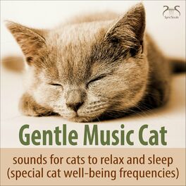 Album cover of Gentle Music Cat - Sounds for Cats to Relax and Sleep (Special Cat Well-Being Frequencies)