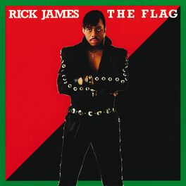 Album cover of The Flag (Bonus Track Version)