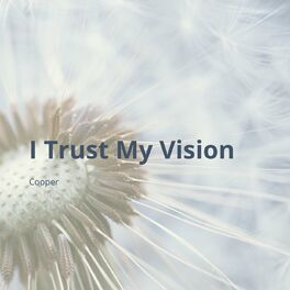 Album cover of I Trust My Vision