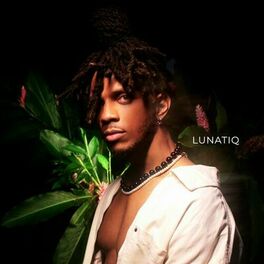 Album cover of Lunatiq