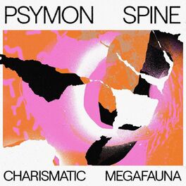 Album cover of Charismatic Megafauna