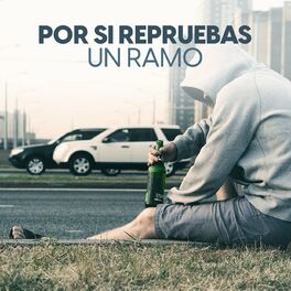 Album cover of Por si repruebas un ramo