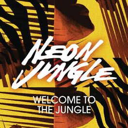 Album cover of Welcome to the Jungle (Remixes)
