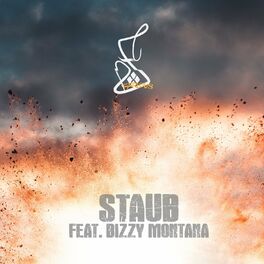 Album cover of Staub (feat. Bizzy Montana)
