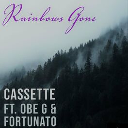 Album cover of Rainbows Gone (feat. Obe G & Fortunato)
