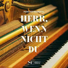 Album cover of Herr, wenn nicht du (Piano Instrumental)