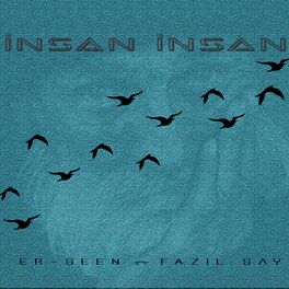 Album cover of İnsan İnsan (feat. Fazıl Say)