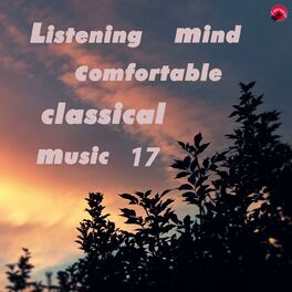 Album cover of Listening mind comfortable classical music 17
