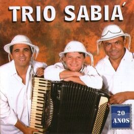 Album cover of 20 Anos
