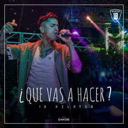 Album cover of Que Vas a Hacer