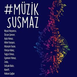 Album cover of Müzik Susmaz
