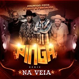 Album cover of Pinga na Veia (Remix)