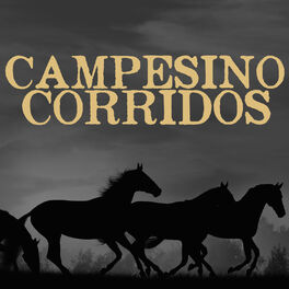 Album cover of Campesino Corridos