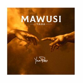 Album cover of MAWUSI
