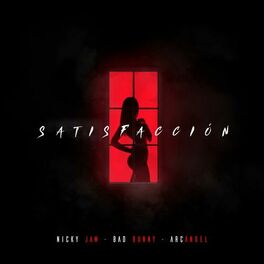 Album cover of Satisfacción