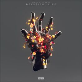Album cover of Beautiful Life