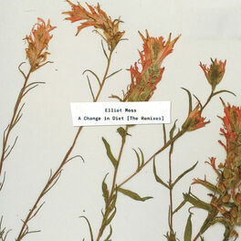 Album cover of A Change in Diet (The Remixes)
