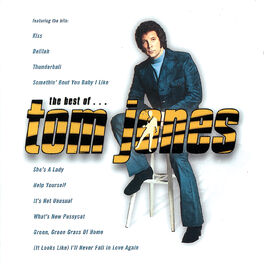 Album picture of The Best Of ... Tom Jones