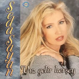 Album cover of Vız Gelir Herşey