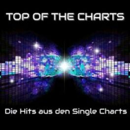 Album cover of Top of the Charts - Die Hits aus den Single Charts