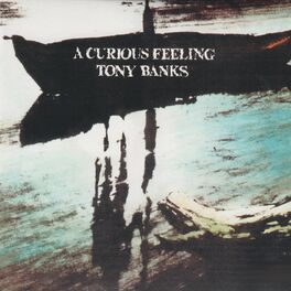 Album cover of A Curious Feeling