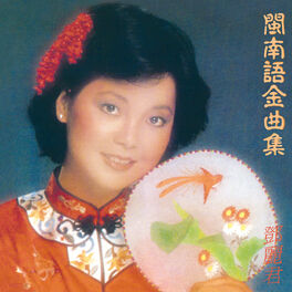 Album cover of 閩南語金曲集