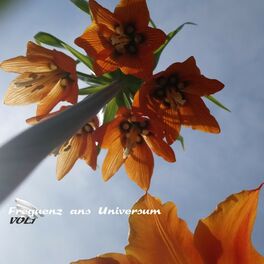 Album cover of Frequenz ans Universum, Vol. 1