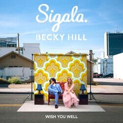 Wish You Well (feat. Becky Hill) - Sigala Download