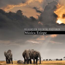 Album cover of Relajación Oriental Profunda: Música Etíope con Vibraciones Africanas (Energía del Espíritu Salvaje)