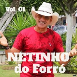 Album cover of Netinho do Forró, Vol. 1