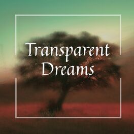 Album cover of Transparent Dreams