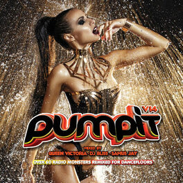Album cover of Pump It, Vol. 14