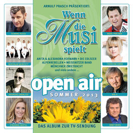 Album cover of Wenn die Musi spielt - Sommer Open Air 2013