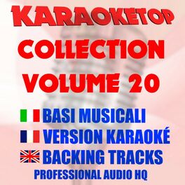 Album cover of Karaoketop Collection, Vol. 20