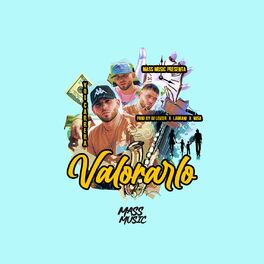 Album cover of Valorarlo
