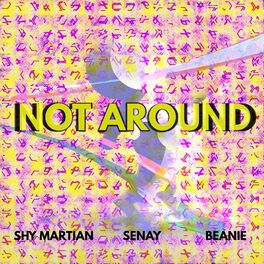 Album cover of Not Around (feat. Beanie & Senay)