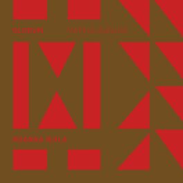 Album cover of Nganga Njila