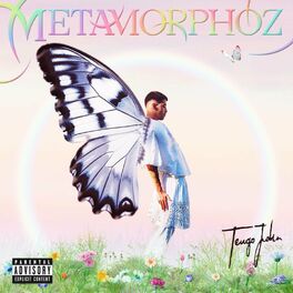 Album cover of Métamorphoz