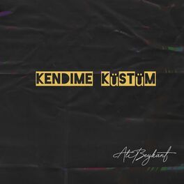 Album cover of Kendime Küstüm