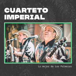 Album cover of Lo Mejor de los Palmeras