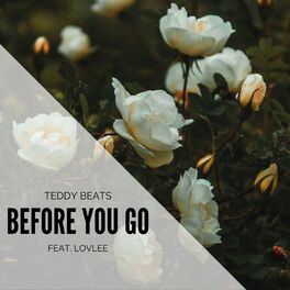 Album cover of Before You Go (feat. Lovlee)