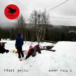 Album cover of Avant Folk II