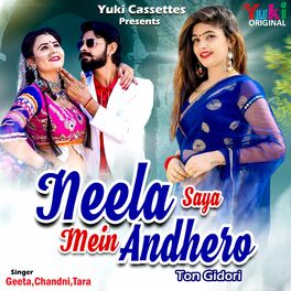 Album cover of Neela Saya Mein Andhero