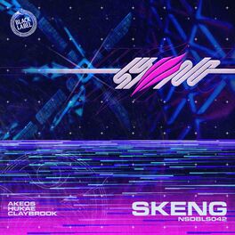 Album cover of Skeng