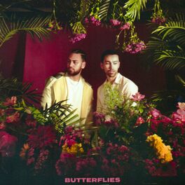 Album cover of Butterflies